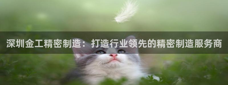 彩神vii购彩l心：深圳金工精密制造：打造行业领先的精密制造服务商
