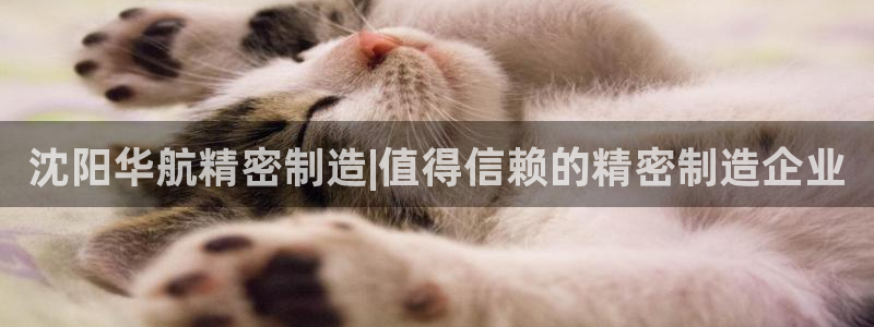 彩神v8是真的挣钱吗：沈阳华航精密制造|值得信赖的精密制造企业