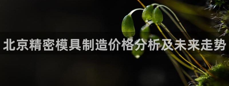 彩神网正规吗