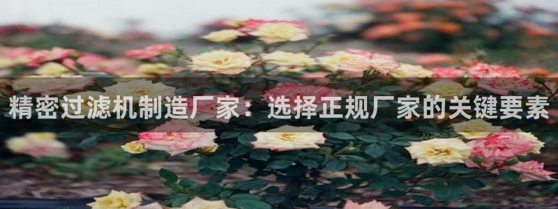 彩神V8有限公司：精密过滤机制造厂家：选择正规厂家的关键要素