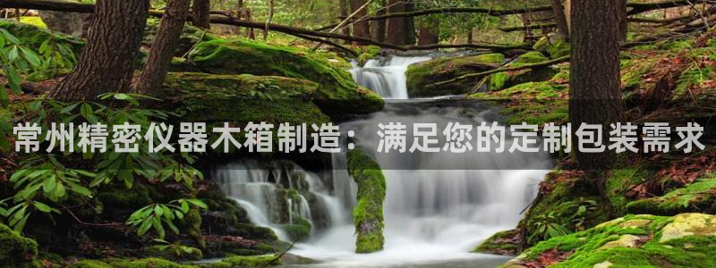 新版彩神v8登录不了