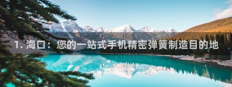 彩神app能挣到钱吗：1. 海口：您的一站式手机精密弹簧制造目的地