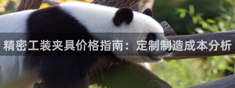 彩神v8是一个什么平台游戏：精密工装夹具价格指南：定制制造成本分析