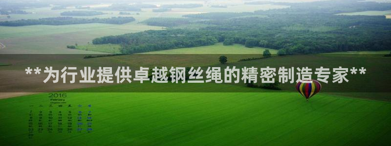 彩神v集团有限公司：**为行业提供卓越钢丝绳的精密制造专家**