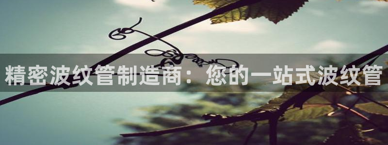 新版彩神v8登录不了：精密波纹管制造商：您的一站式波纹管