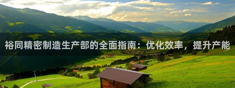 彩神争霸老平台：裕同精密制造生产部的全面指南：优化效率，提升产能