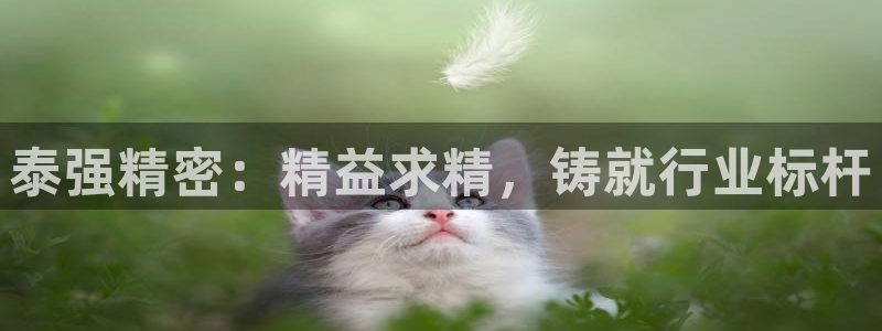 彩神8官网500