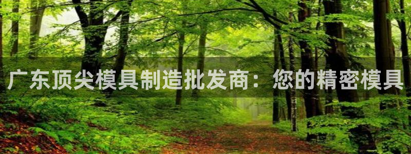 彩神大发云