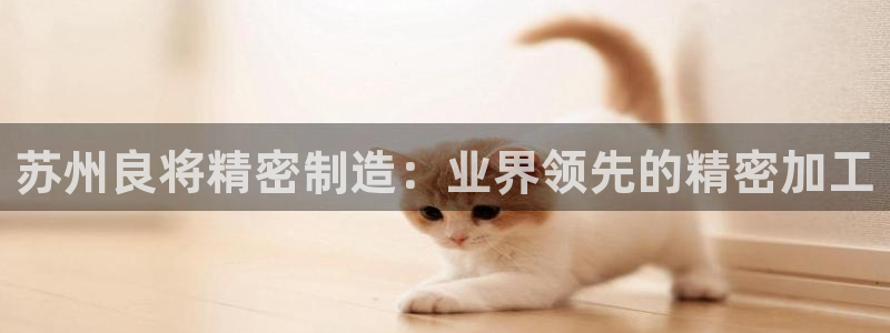 彩神平台是真的吗：苏州良将精密制造：业界领先的精密加工