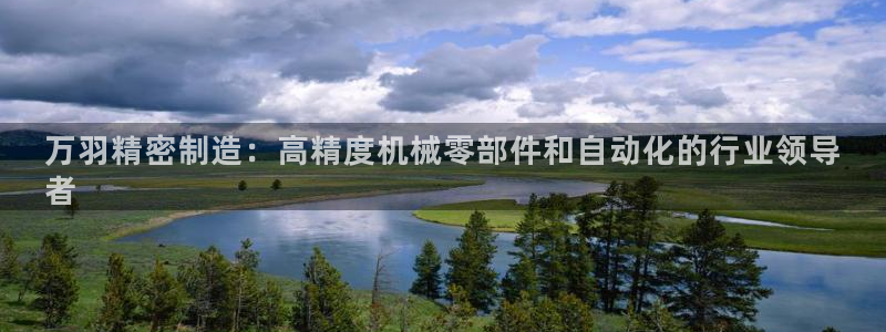 彩神8官网版：万羽精密制造：高精度机械零部件和自动化的行业领导
者