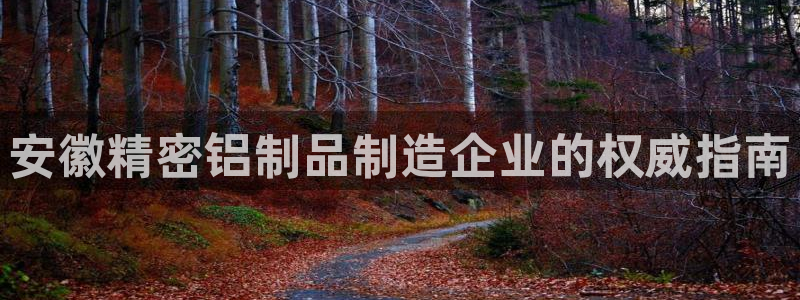 彩神购彩购彩大厅入口v