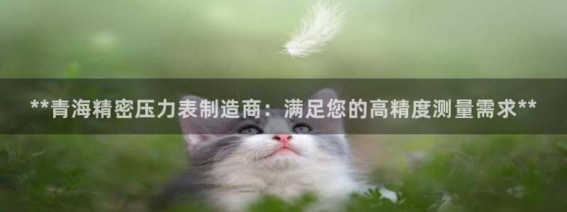 新版彩神v8登录