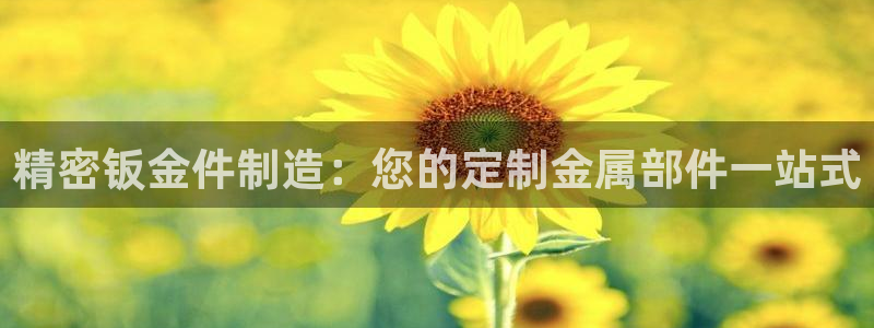 彩神vip购彩大厅下载：精密钣金件制造：您的定制金属部件一站式