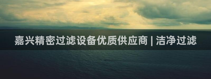 彩神赢了钱登录不上去：嘉兴精密过滤设备优质供应商 | 洁净过滤