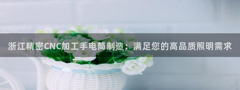 新版彩神v8登录教程：浙江精密CNC加工手电筒制造：满足您的高品质照明需求