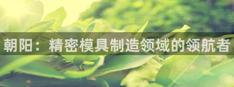 彩神xapp官方网站：朝阳：精密模具制造领域的领航者