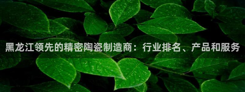 彩神8下载安卓版-彩神8(可提现)官网版1.0.0：黑龙江领先的精密陶瓷制造商：行业排名、产品和服务
