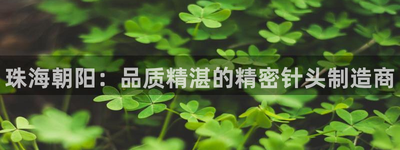 彩神v8购彩大厅登：珠海朝阳：品质精湛的精密针头制造商