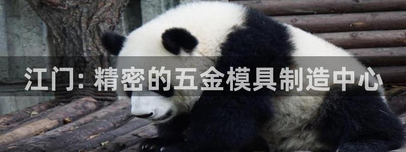 彩神赢的钱是哪里来的