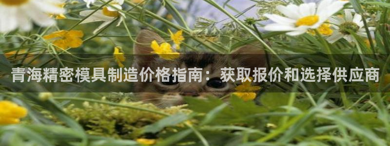 彩神v|：青海精密模具制造价格指南：获取报价和选择供应商
