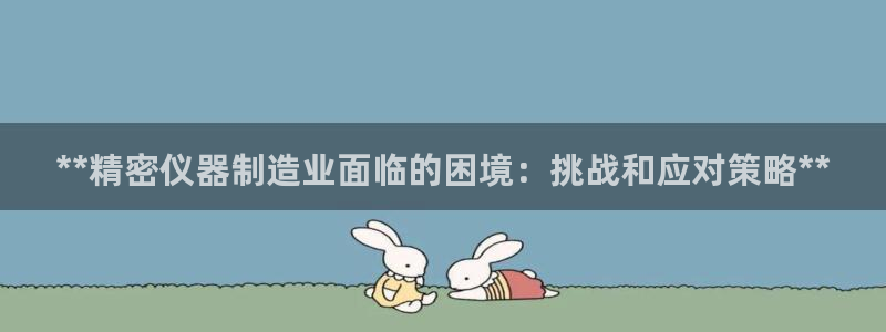 彩神v违法么：**精密仪器制造业面临的困境：挑战和应对策略**