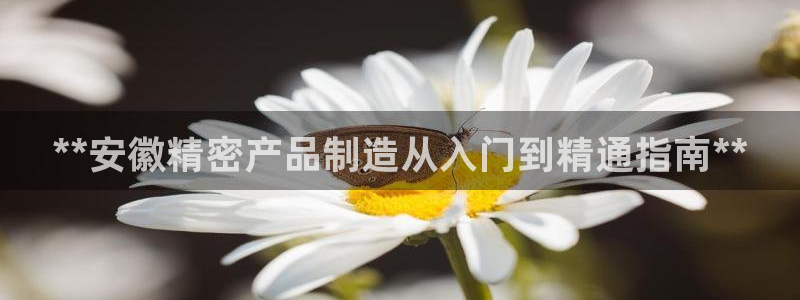 新版彩神v8登录不了：**安徽精密产品制造从入门到精通指南**