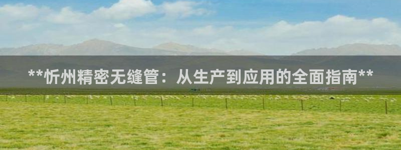 彩神网正规吗：**忻州精密无缝管：从生产到应用的全面指南**