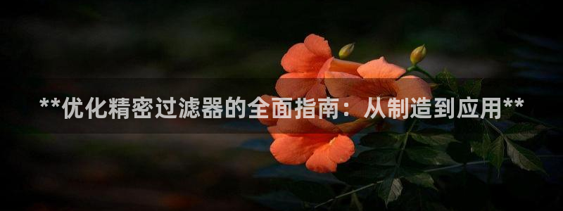彩神大发黑平台：**优化精密过滤器的全面指南：从制造到应用**