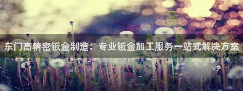 彩神通关注码金码对应码：东门高精密钣金制造：专业钣金加工服务一站式解决方案