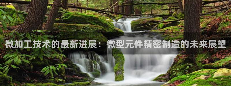 彩神争霸官方下载20